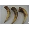 Image 2 : 3 Horns