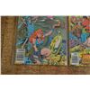 Image 2 : Red Sonja Comics