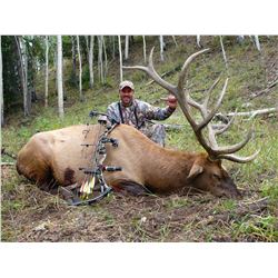 Wasatch Mountains Multi-Season Bull Elk Permit