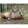 Image 1 : Wasatch Mountains Multi-Season Bull Elk Permit