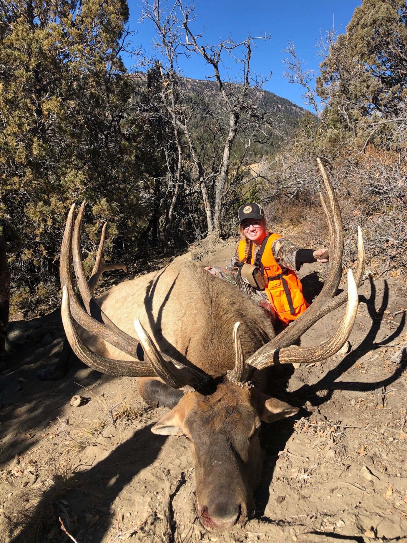 Central Mountains, Manti Any Weapon Elk Permit