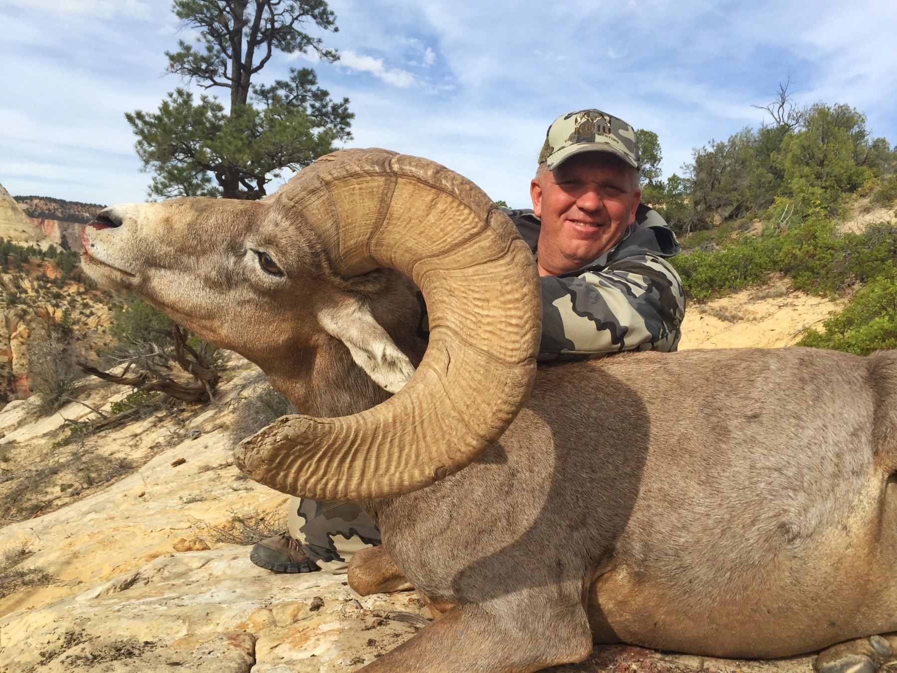 Zion (early) Desert Bighorn Sheep Permit
