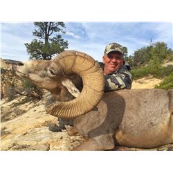Zion (early) Desert Bighorn Sheep Permit