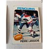 Image 1 : Pierre Larouche