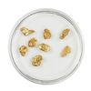 Image 2 : Lot of Gold Nuggets 3.23 grams Total Weight