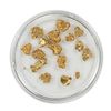 Image 2 : Lot of Gold Nuggets 5.01 grams Total Weight