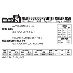 MED ROCK CONVERTER CREEK 956