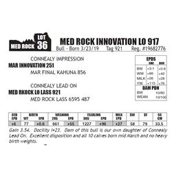 MED ROCK INNOVATION LO 917