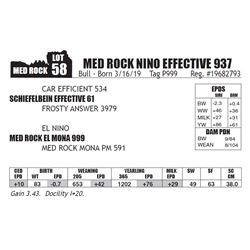 MED ROCK NINO EFFECTIVE 937