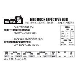 MED ROCK EFFECTIVE 938