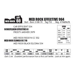 MED ROCK EFFECTIVE 964
