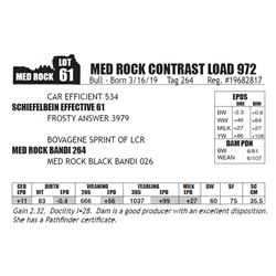 MED ROCK CONTRAST LOAD 972