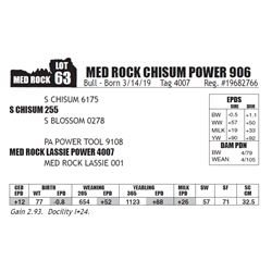 MED ROCK CHISUM POWER 906