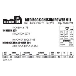MED ROCK CHISUM POWER 911