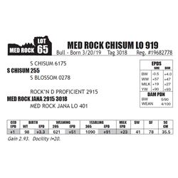 MED ROCK CHISUM LO 919
