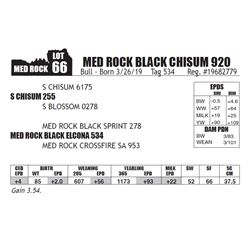 MED ROCK BLACK CHISUM 920