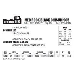 MED ROCK BLACK CHISUM 965