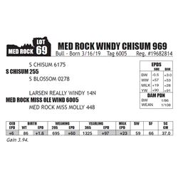 MED ROCK WINDY CHISUM 969