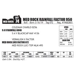 MED ROCK RAINFALL FACTOR 950