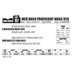 MED ROCK PROFICIENT MASS 928