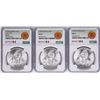 Image 1 : Lot of 1977Mo-1979Mo Mexico 100 Pesos Silver Coins NGC MS64