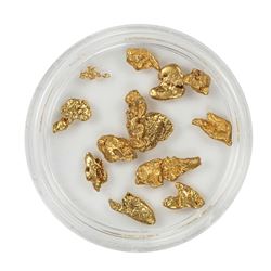 Lot of Gold Nuggets 5.79 grams Total Weight