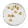 Image 2 : Lot of Gold Nuggets 3.21 grams Total Weight