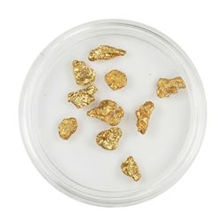 Lot of Gold Nuggets 4.08 grams Total Weight