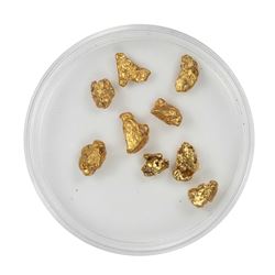 Lot of Gold Nuggets 5.03 grams Total Weight
