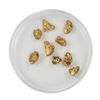 Image 1 : Lot of Gold Nuggets 5.03 grams Total Weight