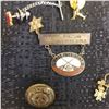 Image 20 : Large Lot of Pieces. From CRAF pins and badges Fire fighting badges, Royal Canadian Air Force