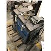Image 1 : Miller Econotig AC/DC Welder