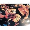 Image 2 : GOLDBERG SIGNED 8X10 WRESTLING PHOTO