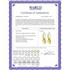 Image 2 : Genuine 8 ctw Citrine Earrings 14KT Yellow Gold - REF-36A8K