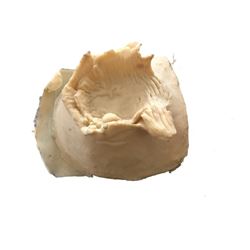 Ash vs Evil Dead Wound Prop