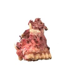 Hatchet Prosthetic Skull Nose Movie Props
