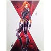Image 2 : Jamie Tyndall Framed Black Widow Print