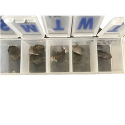 Gnome Alone The Gnome (Verne Troyer) Fingernails Movie Props