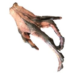 Alien Resurrection Alien Hand Movie Props