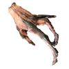Image 1 : Alien Resurrection Alien Hand Movie Props