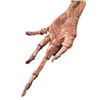 Image 2 : Alien Resurrection Alien Hand Movie Props