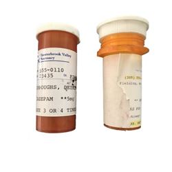 Running with Scissors Deirdre Burroughs (Annette Bening) Movie Props