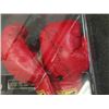 Image 2 : Oscar De La Hoya Signed Boxing Gloves