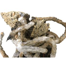 Alien Vs. Predator Requiem Alien Cocoon Movie Props