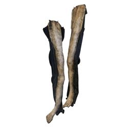Hell Fest Zombie Legs Movie Props