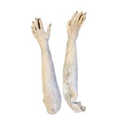Hell Fest Zombie Arms Movie Props