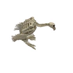 Hell Fest Dinosaur Skeleton Decor Movie Props
