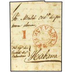 CUBA PALMILLAS a HABANA