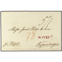 URUGUAY Entire letter from MONTEVIDEO to COPENHAGEN