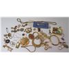 Image 1 : Misc Jewelry: Chokers, Rope Chains, Bracelet, Pendants, Brooches, Pins, etc